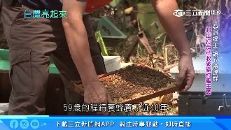 亞洲蜂王「逐花草而居」打造甜蜜王國