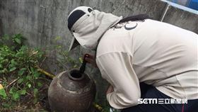 新北市,登革熱,疫情延燒,再出個案,菜園,遭叮咬(圖/疾管署提供)