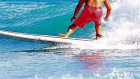 水上活動。（圖／營建署提供）