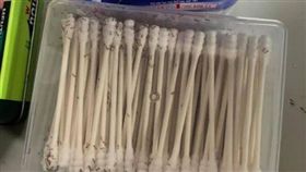 螞蟻,棉花棒,築巢,冬天,蟻后　圖／翻攝爆怨公社