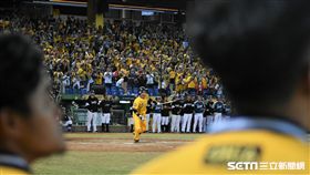 彭政閔生涯最後一次踏上打擊區。（圖／記者王怡翔攝影）