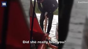 一名俄羅斯男子日前到河邊捕魚，沒想到下一秒竟遭「狗魚（pike）」一口咬住下體，秒成「含蛋狗魚」，一旁的朋友見男子「遇難」狂笑，甚至問「你的睪丸還活著嗎？」幸好最後順利化解危機，虛驚一場。（圖／翻攝自Daily Mail Online）