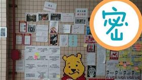  維尼現身政大連儂牆！超狂標題網笑噴