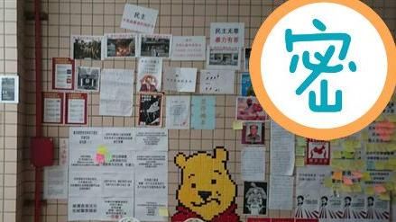維尼現身政大連儂牆！超狂標題網笑噴