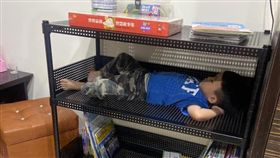 睡覺皇帝大！兒躺「書櫃」裡舒服熟睡。（圖／翻攝自「爆廢公社公開版」臉書）