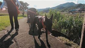 力行國小,小力,台北市