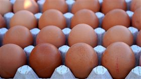 雞蛋（圖／翻攝自pixabay）