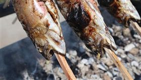 -魚-烤魚-烤肉-圖／翻攝自Pixabay