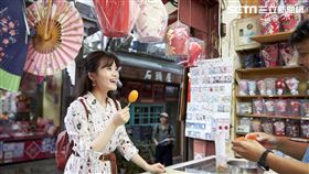 新北市政府觀光旅遊局,秋冬遊,三生幸福,台灣好行795,木柵平溪線,幸福巴士