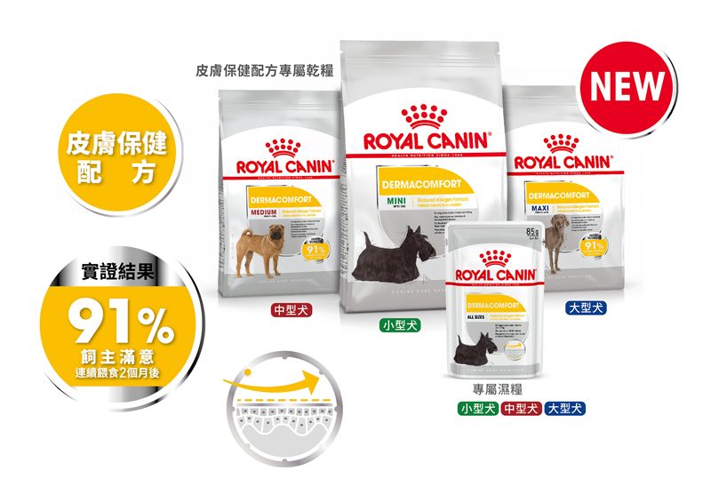 狗狗也有敏感體質　皮膚敏感常發生