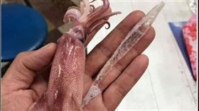 吃小卷驚見「塑膠片」！男急勸生態汙染…萬人笑瘋曝真相（圖／翻攝自爆廢公社二館）