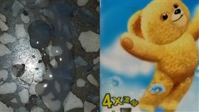 柔衣精,液體,地板,洗衣服,誤會,DIY　圖／翻攝爆廢公社公開版