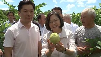 台灣芭樂去美國！小英虧韓：非芭樂票