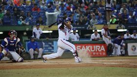 ▲林子偉。（圖／中華棒協提供）