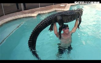 影／人鱷大戰　制伏秘訣「玩到牠累」