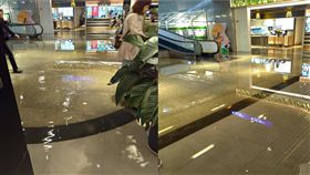  （圖／翻攝自PTT）桃機,二航廈,積水