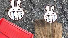 （圖／翻攝自爆系知識家）蛇,土地公,王錦蛇