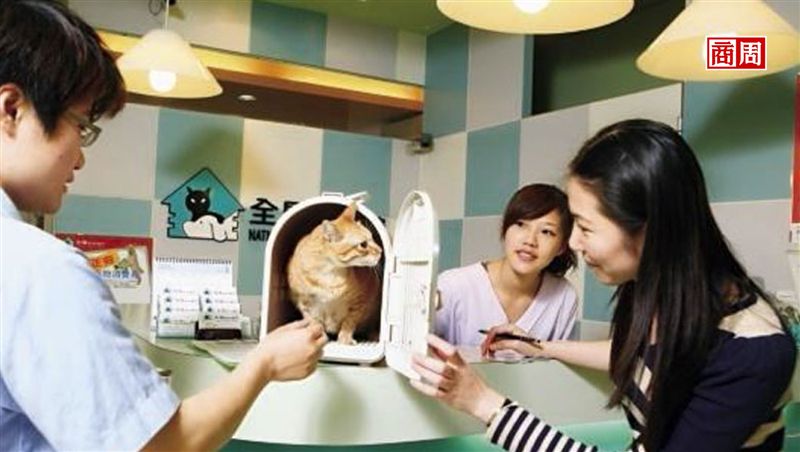 寵物比小孩多？3大關鍵喚醒沉睡市場