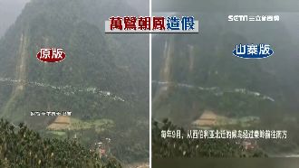 扯！台萬鷺朝鳳遭造假成「秦嶺雁陣」