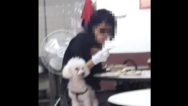 大媽帶毛孩吃飯　「人狗同餐具」遭轟