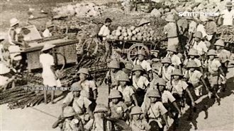 70年前「小蜜蜂」曝光！賣這些東西