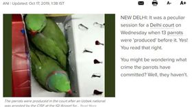 日前在印度機場發生一起走私事件，沒想到主角卻是「活體鸚鵡」！一名來自烏茲別克的男子在德里機場檢驗處被安檢人員查驗出行李裡有可疑物品，一打開發現全是活生生的鸚鵡，隨即將該名企圖走私的男子送辦。該名男子在開庭時表示，由於鸚鵡在烏茲別克有很大的市場，才會冒險走私。（圖／翻攝自印度時報）