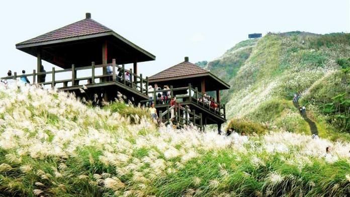 秋日推薦！台灣登山健行古道8選