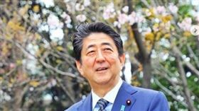 日本天皇,德仁,皇后,雅子,安倍晉三（圖／翻攝自推特）