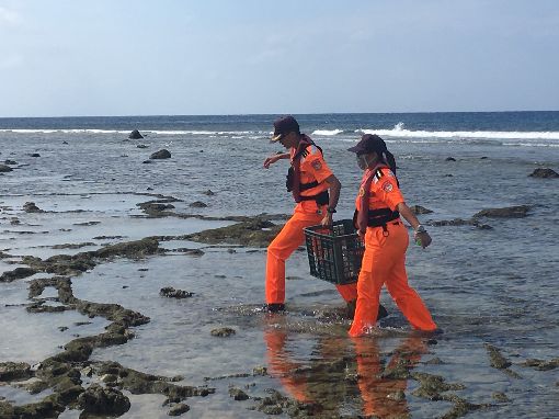 遭漁網纏繞奄奄一息  海巡搶救珍稀欖蠵龜（2）綠島安檢所21日在綠島石朗岸際發現一隻海龜遭漁網纏繞，海巡人員抵達現場時，發現海龜被漁網纏繞相當嚴重，立即除去漁網並持續給予海水保持濕潤，同時通報台東縣政府農業處畜產保育科。（第一三岸巡隊提供）中央社記者李先鳳傳真  108年10月22日