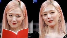 雪莉 惡評的夜 韓網