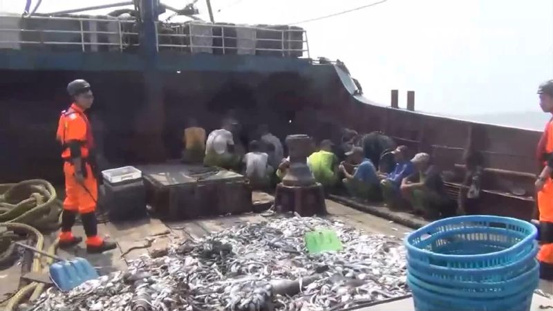 陸船拒檢撞海巡艦遭捕　下場要賠百萬