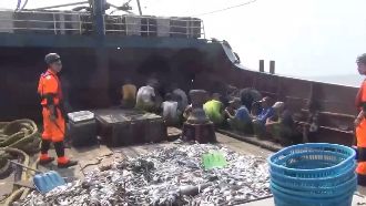 陸船拒檢撞海巡艦遭捕　下場要賠百萬