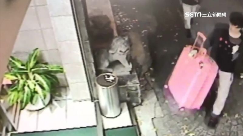 陳同佳明仍不來！台律師受託幫打官司