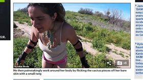 美國,騎車,摔車,仙人掌,喉嚨。(圖/翻攝自dailymail)