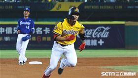 中信兄弟張志豪。（圖／記者林聖凱攝影）