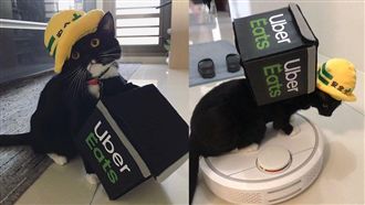 0差評！超萌Uber cat出動