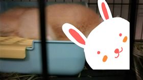 寵物,誤會,房東,無辜,太吵,爆怨公社