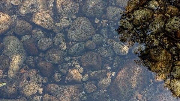 熱水池釀禍！美爆發「退伍軍人症」
