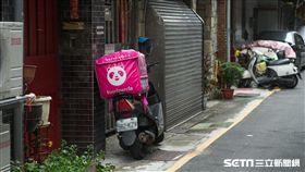 熊貓（陳弋攝影）