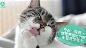 ▲圖／翻攝自PetTalk官網