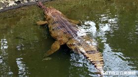 台北市立動物園