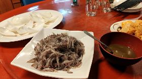 保育日本禿頭鯊　台東縣府公告禁漁期