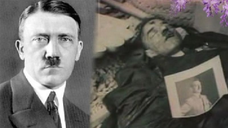 寧死不降的希特勒最後為何選擇輕生？