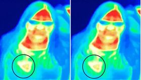 英國婦女逛博物館 經過熱成像攝影機測出乳癌(圖／Metro)