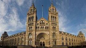 倫敦自然史博物館,動物標本,雄性(圖／翻攝自維基百科)