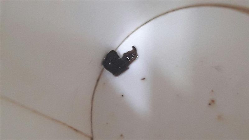 杯見「破掉咖啡豆」噁吐：吞很多孩子