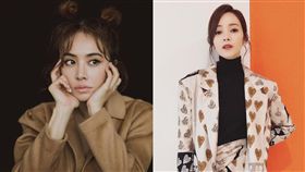 蔡依林,侯佩岑,比較,周杰倫,PTT,本人回應