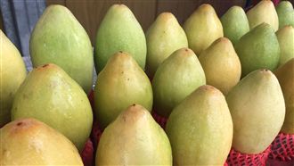 是木瓜還是百香果？這水果可養顏美容