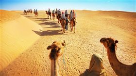 ▲撒哈拉沙漠騎駱駝（圖／shutterstock.com）