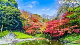 圖/樂天市場提供